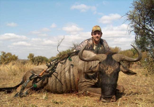 Smiling bowhunter kneeling behind a harvested blue wildebeest with compound bow, African bushveld background