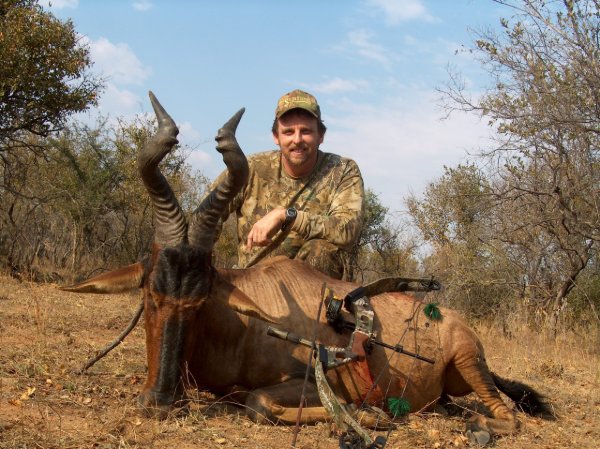 Hunter kneeling behind a tsessebe antelope taken with a bow during an African safari hunt