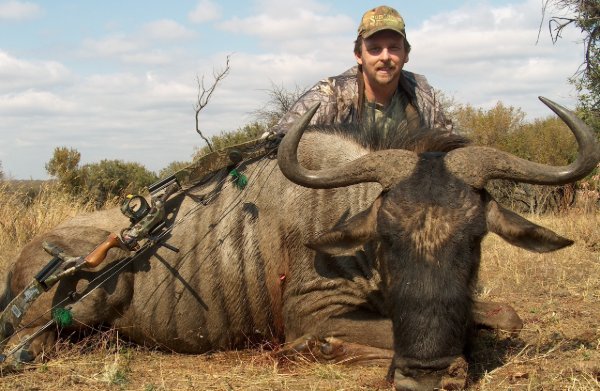 Smiling bowhunter kneeling behind a harvested blue wildebeest with compound bow, African bushveld background