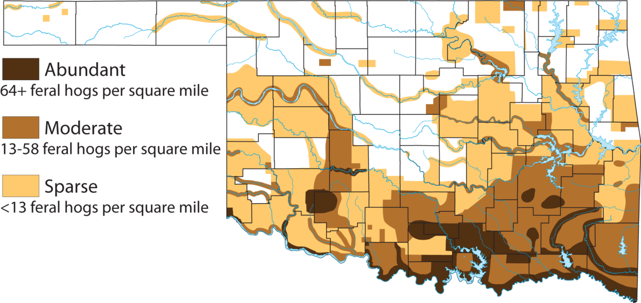 Oklahome Feral Hog Density Map Number of Hogs by County in Oklahoma