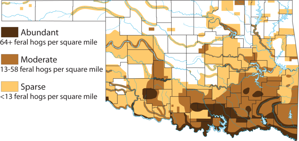 Oklahome Feral Hog Density Map - Number of Hogs by County in Oklahoma