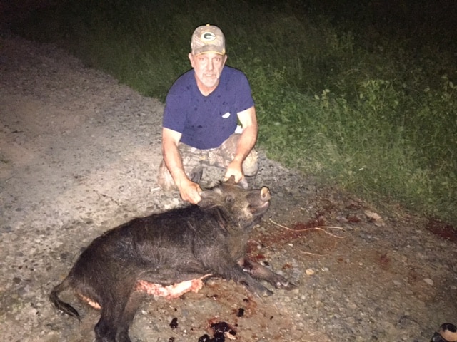Wild Hog Downed by Hunter - Hog Hunt Oklahoma