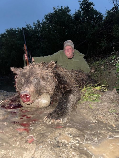 Hunter kneeling behind a large brown bear harvested near a riverbank at dusk