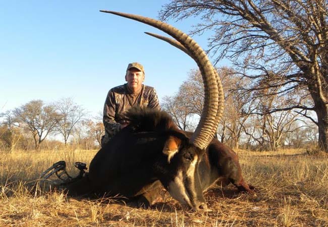 Hunter kneeling beside a large sable antelope trophy with long curved horns in African bushveld