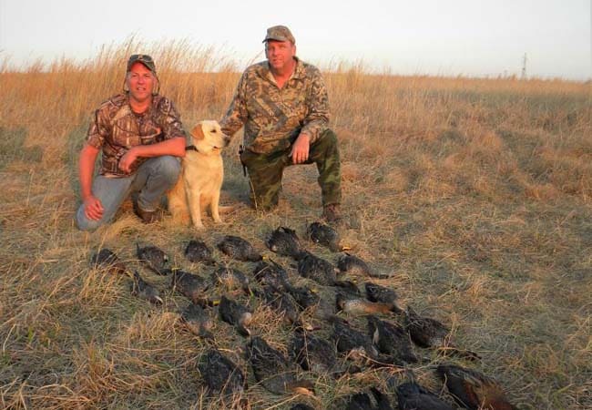Two hunters kneel with a yellow Labrador beside a row of harvested waterfowl in a grassy field