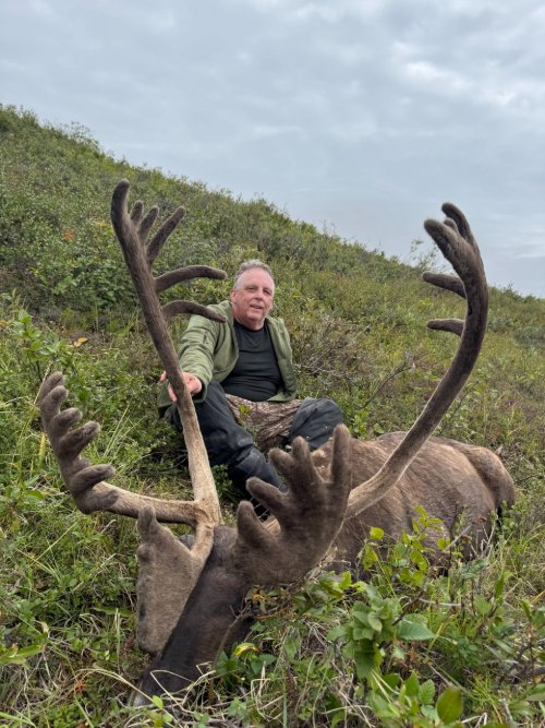 Person sitting beside a large caribou with prominent antlers on grassy terrain under a cloudy sky