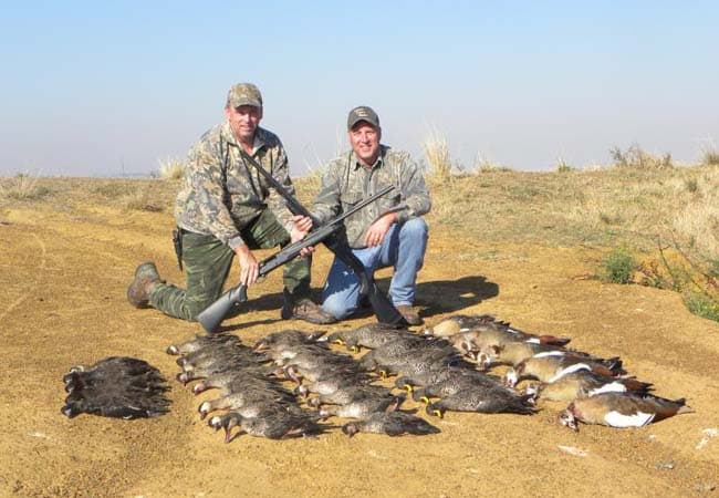 Two hunters kneeling with a shotgun beside a row of harvested waterfowl in an open field